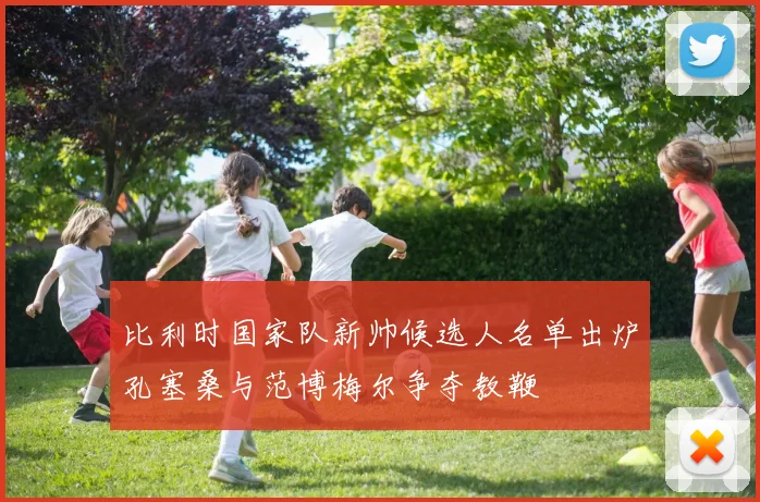 比利时国家队新帅候选人名单出炉孔塞桑与范博梅尔争夺教鞭