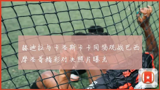 赫迪拉与卡洛斯卡卡同场观战巴西摩洛哥精彩对决照片曝光
