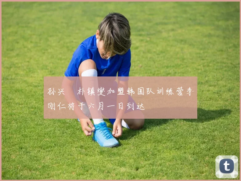 孙兴慜朴镇燮加盟韩国队训练营李刚仁将于六月一日到达